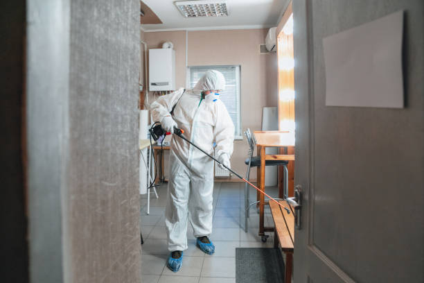 Best HVAC Mold Inspection and Cleaning  in Huntsville, AL