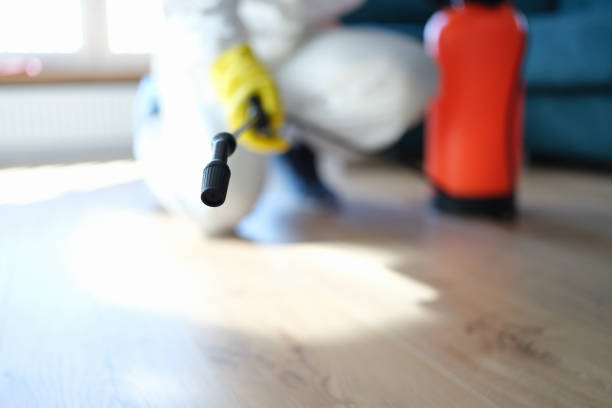 Best Airborne Mold Testing  in Huntsville, AL